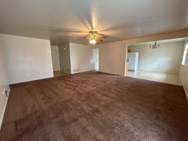 2509 Big Leaf Dr.