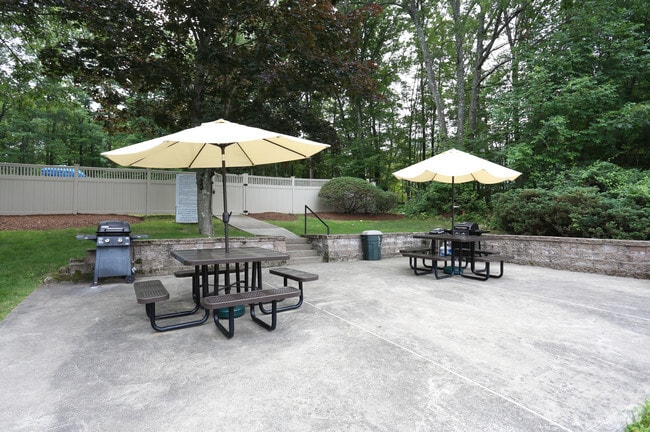 Grill Area
