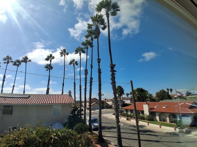 591 Grove