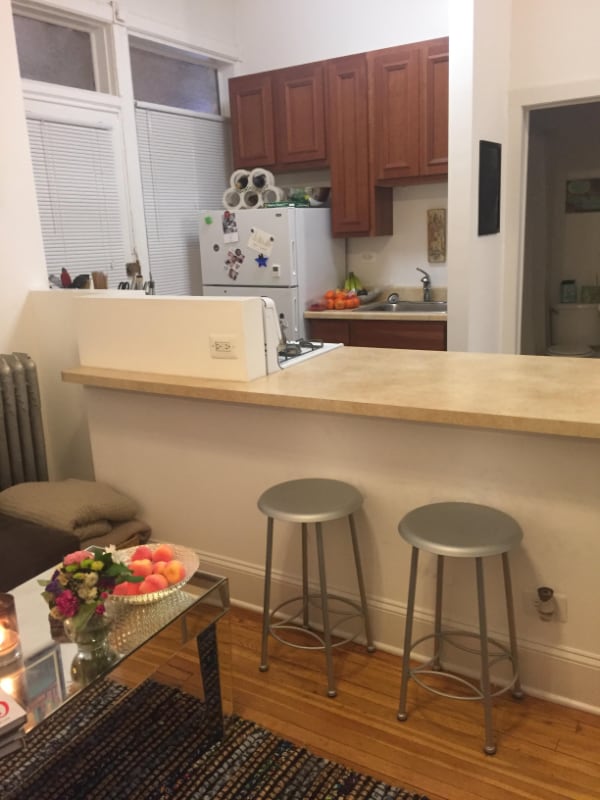 Photo - 1912 N Lincoln Park W Apartment Unit 2S