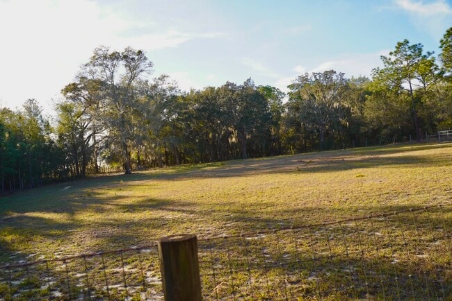 Photo - 29205 Saddle Oaks Ln