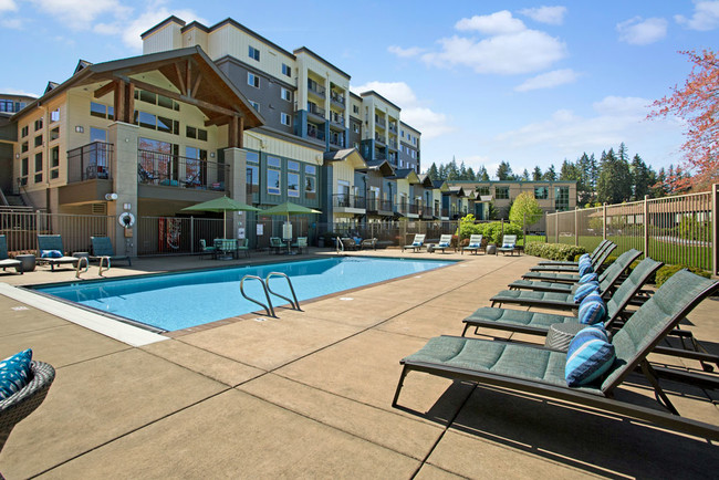 Echo Lake Pool - Echo Lake Apartment Homes