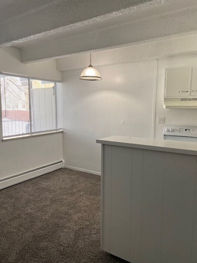 Photo - Newly remodeled 1-bedroom apartment near DU Unit 105