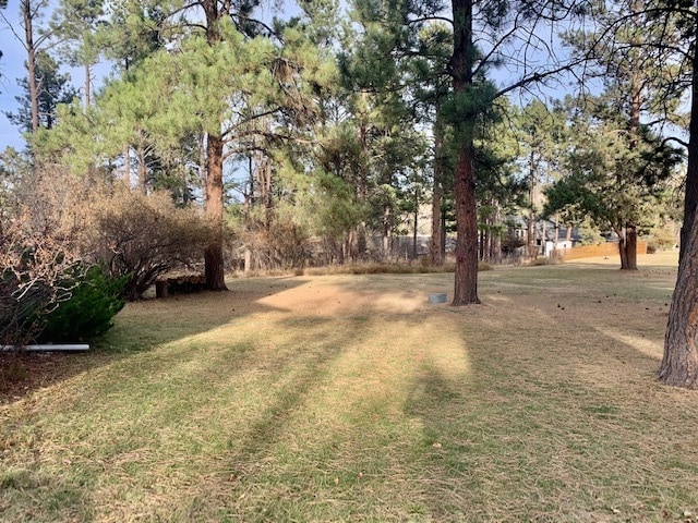 Photo - 213 N Berry Pine Rd