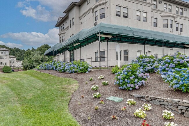 Somerset Apartments - Somerset Apartments