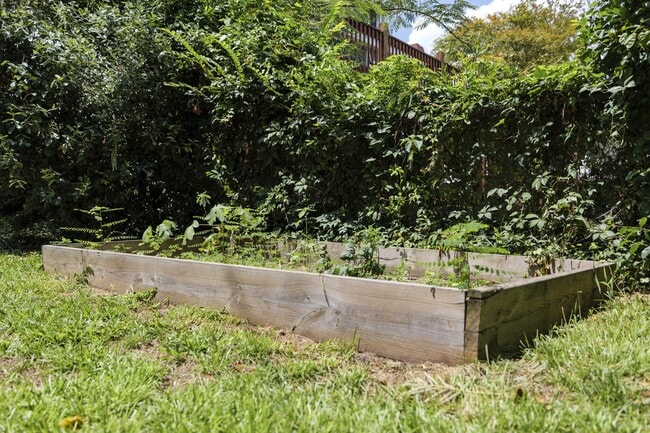 Photo - 207 Oliver St