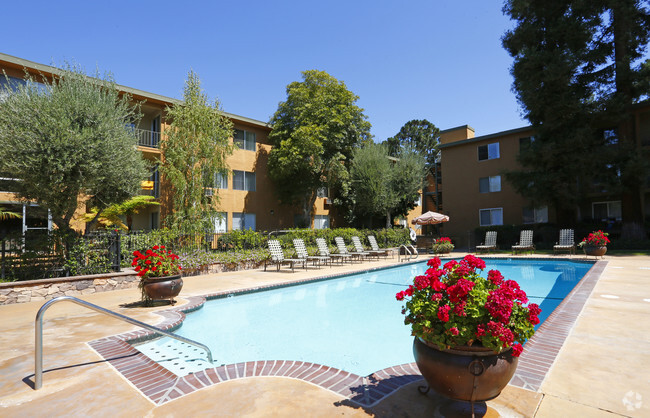 The Monterey Apartments - The Monterey Apartments