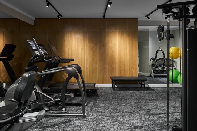 Fitness Center - The Fitz