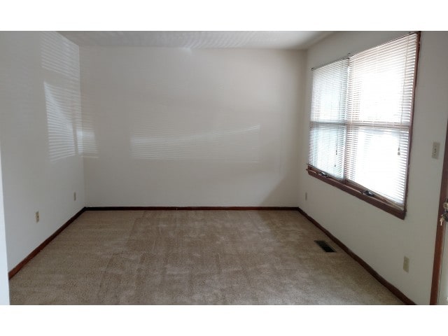 Great natural light! - Healey Gardens