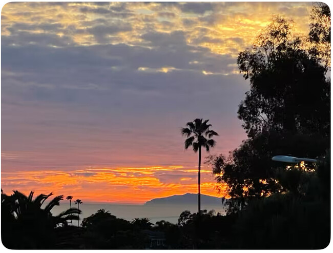 Building Photo - Dana Point Oasis Rental