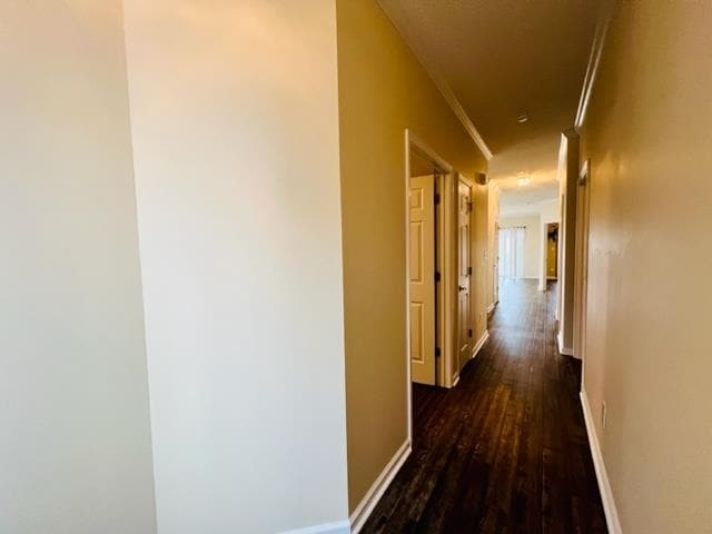 Photo - 1522 Lanterns Rest Rd