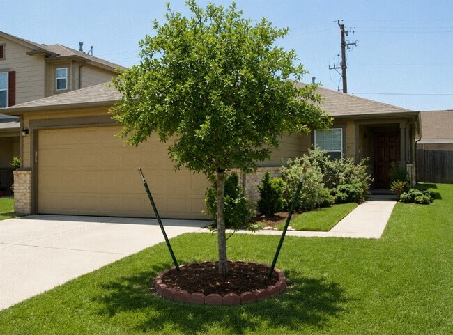 Building Photo - 8515 Westknoll Ln