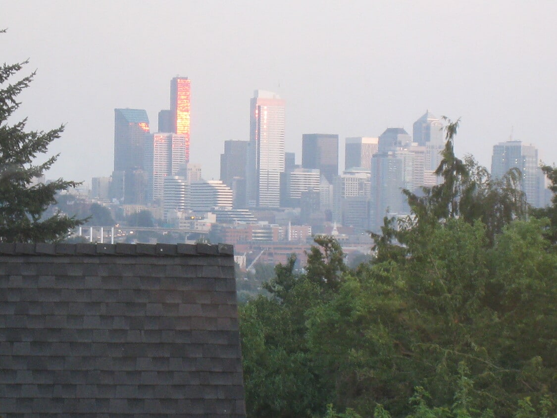 View of downtown from the kitchen - 4049 Latona Avenue NE (Seattle, WA)