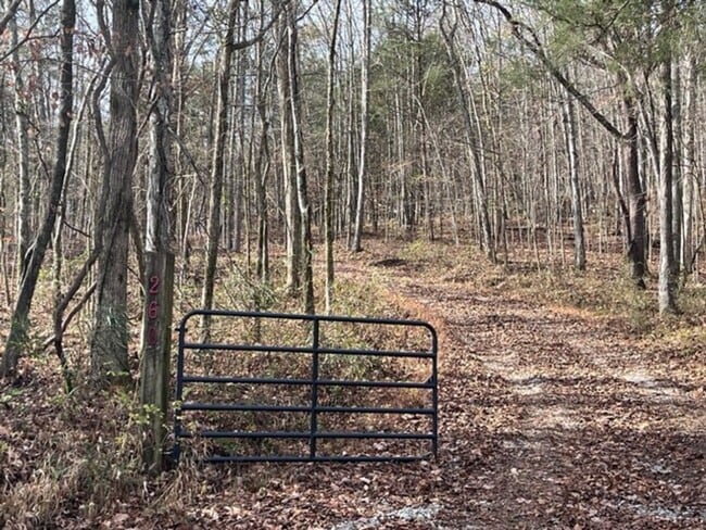 Photo - **COMING SOON**  Rustic Country Home on 35 Acres in Bethpage, TN