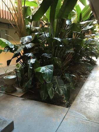 Building interior open space - 490 4th Ave Unit 24