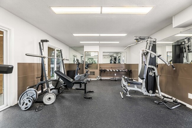 Gym with free weights and current machines