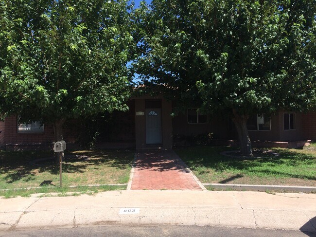 Photo - 803 Navajo Ln