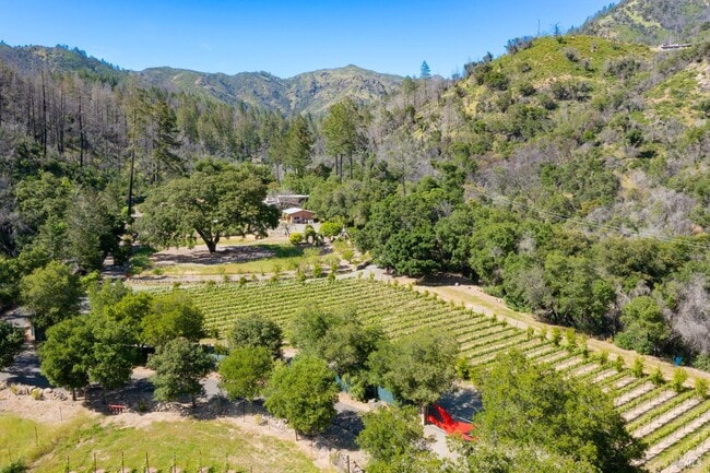 Building Photo - 321 Dutch Henry Canyon Rd Rental