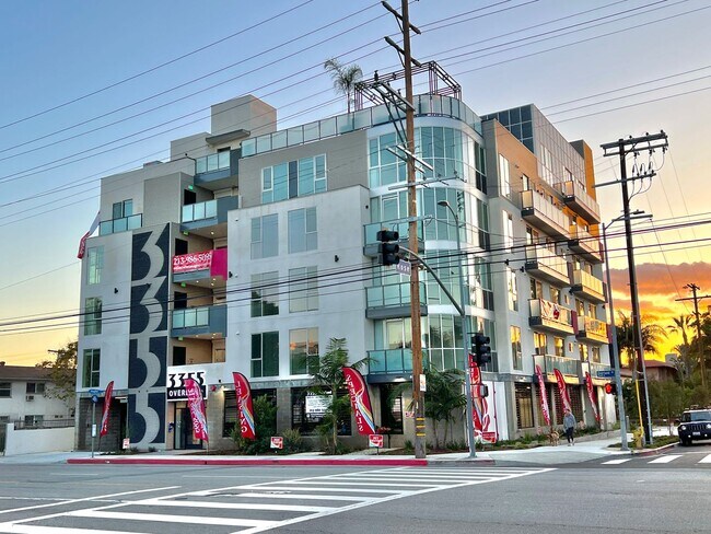 Photo - THE ROSE. at OVERLAND