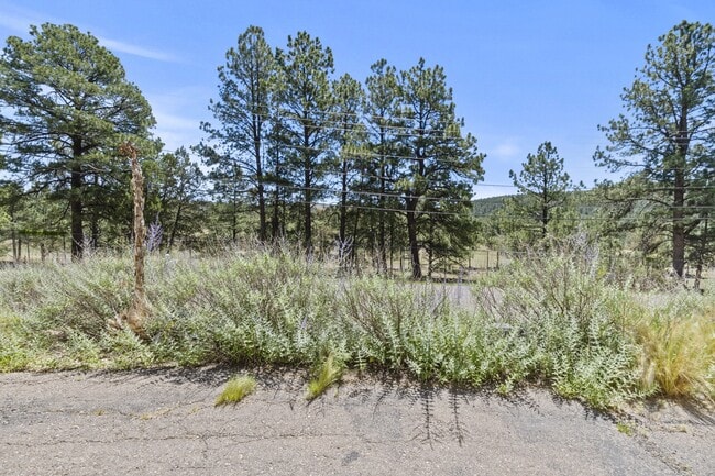 Photo - 307 Heath Dr Unit 1