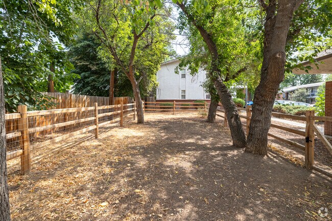 Dog Park
