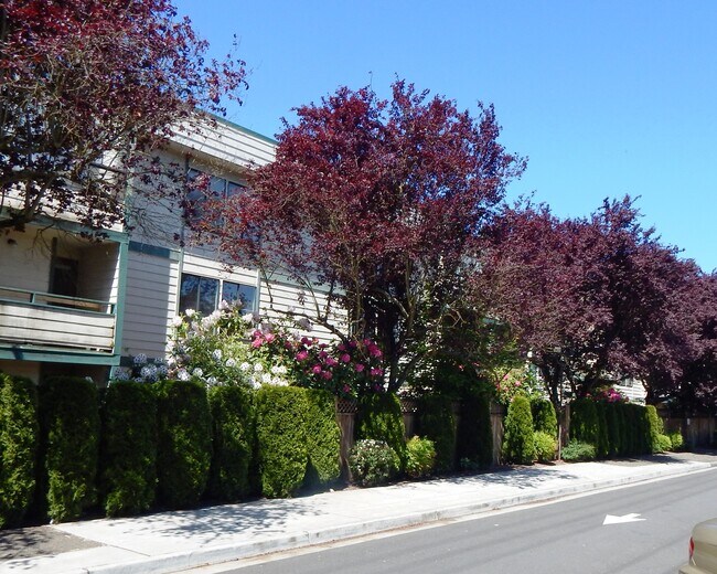 Facade 2 - 13717 Linden Ave N Unit Linden Park with Trees