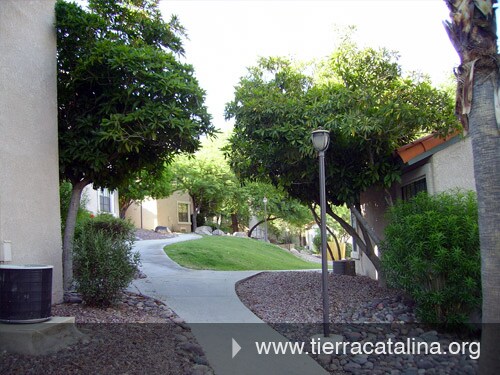 Photo - 6460 N Tierra de las Catalinas Unit Tierra Catalinas 116