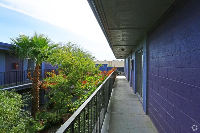 Photo - Naples Enclaves