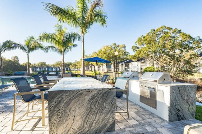 Avion at Carrollwood