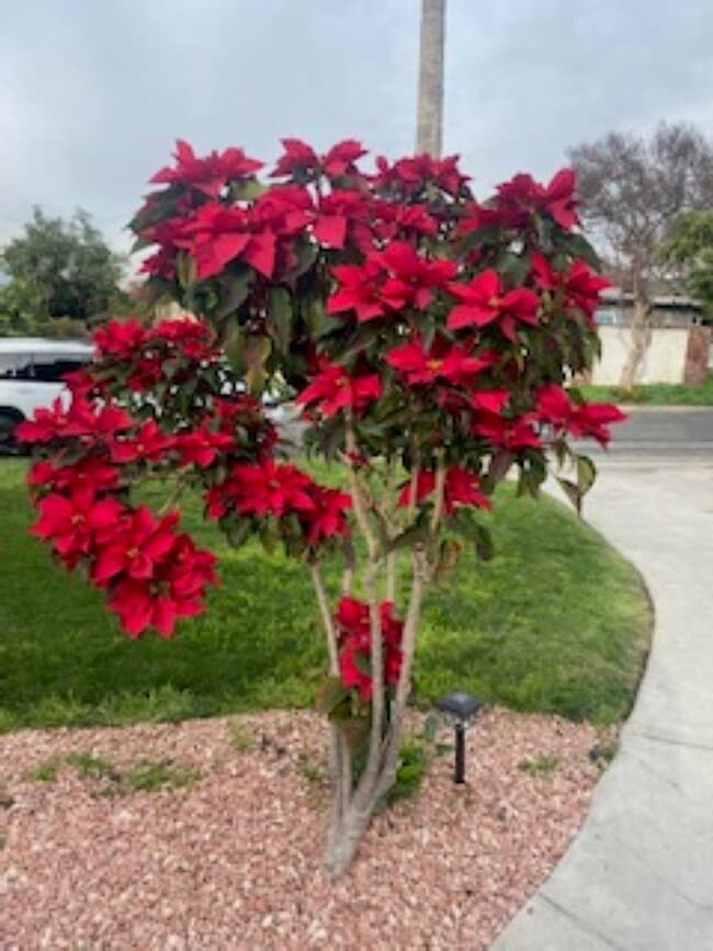 Photo - 16964 Millstone Dr