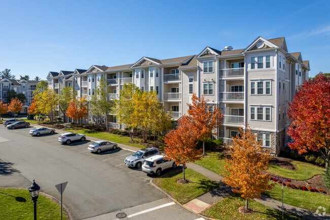 Photo - Reading Woods