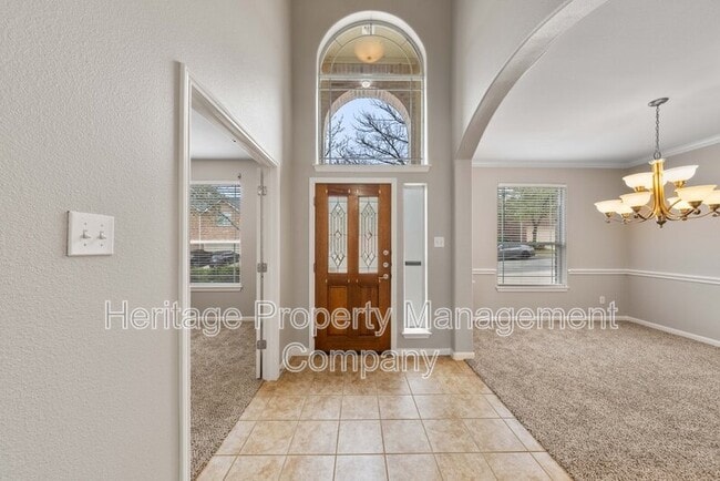 Photo - 25723 Coleus