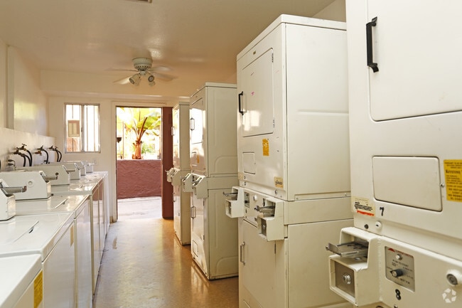 Lavandería 1 - Terrace Pointe Apartments