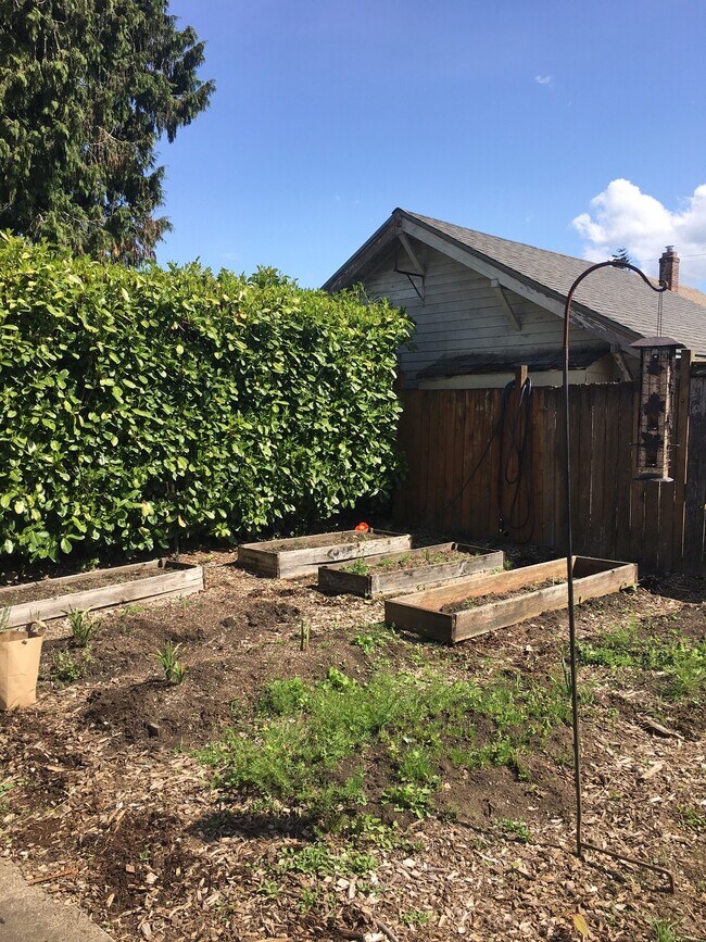 backyard - 8032 SE Yamhill St