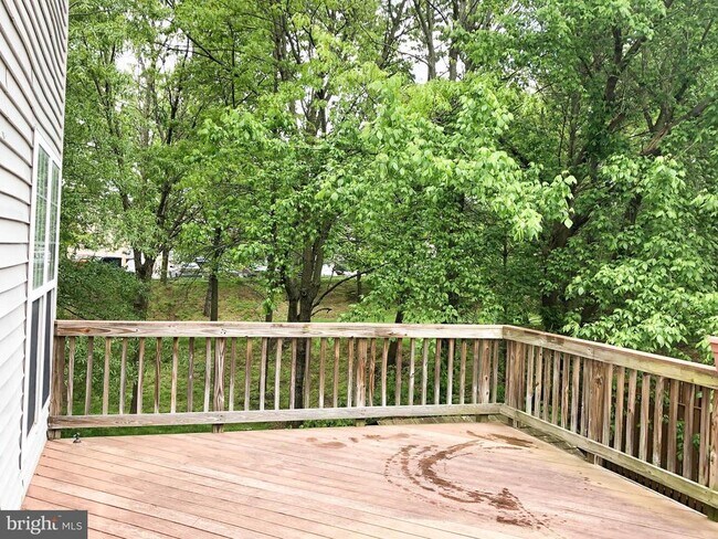 Photo - 47403 Darkhollow Falls Terrace