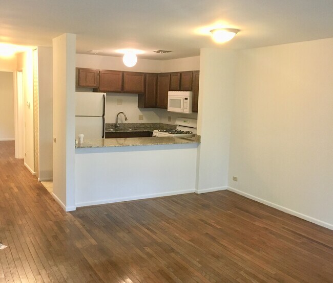 kitchen - 549 W Dickens Ave Unit #1