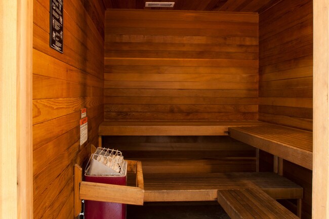 Relaxing Dry Sauna