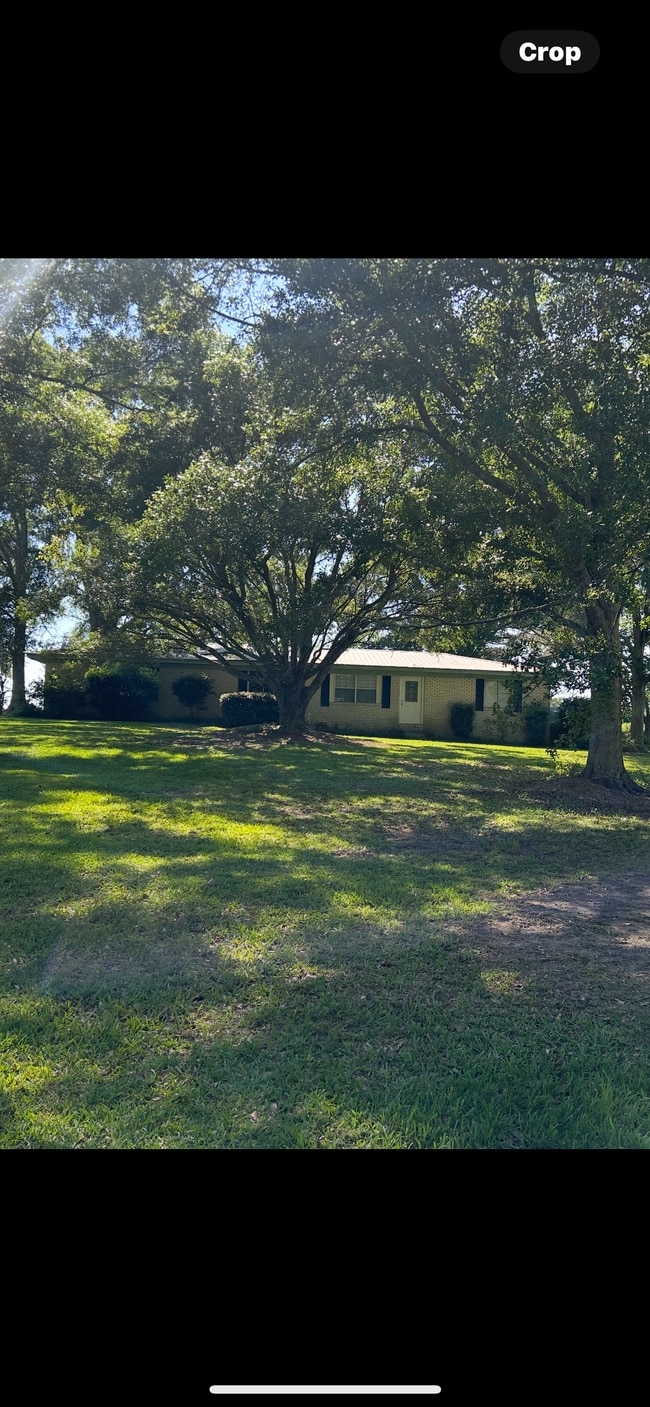 Building Photo - 393 Niemeyer Rd Rental