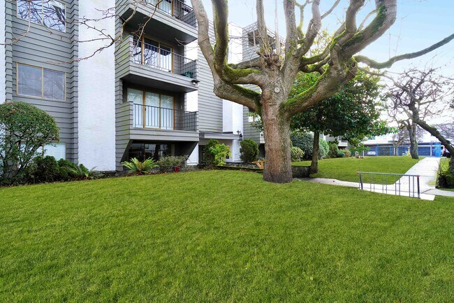 Photo - Michigan Court Apartments