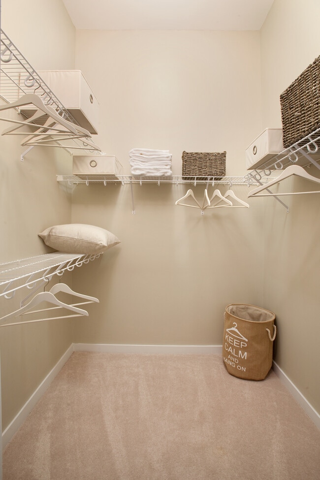Spacious, walk-in closet