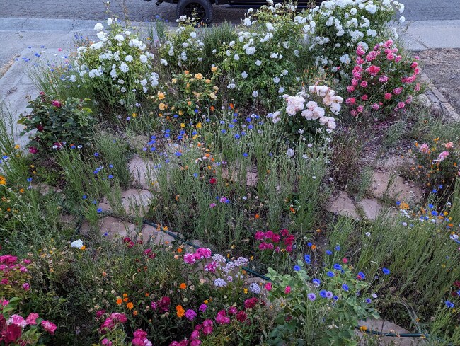 Photo - 138 Viewmont Ave