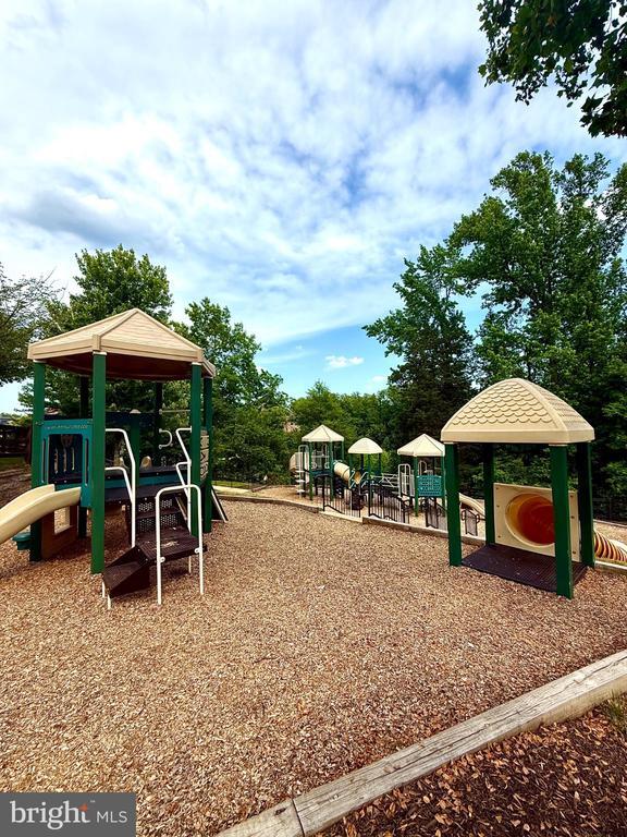 Photo - 2812 Medstead Ln