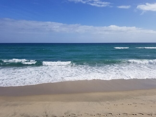 Photo - 3540 S Ocean Blvd Unit 114