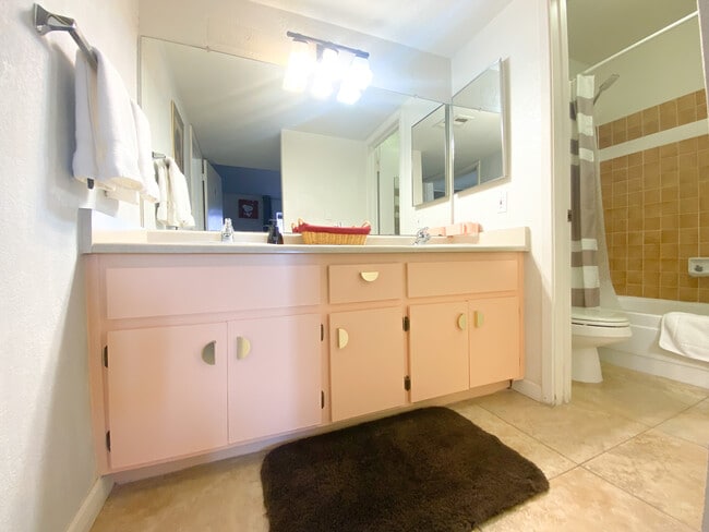 Private Sinks - 1215 E LEMON St Unit Lemon R