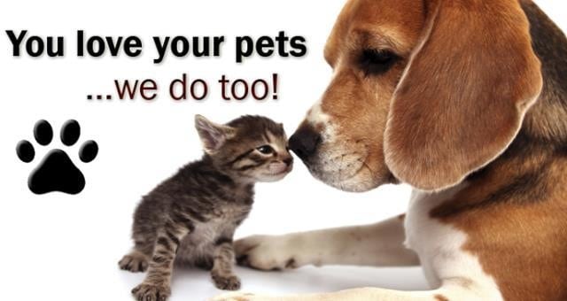 SE ADMITEN MASCOTAS - Bridgewater Pointe Apartments