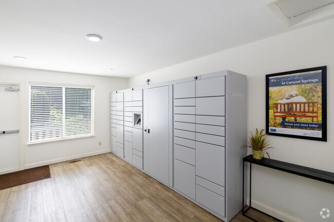 Canyon Springs - Package Room