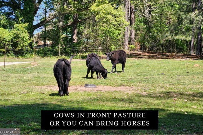 Photo - 278 Malone Rd