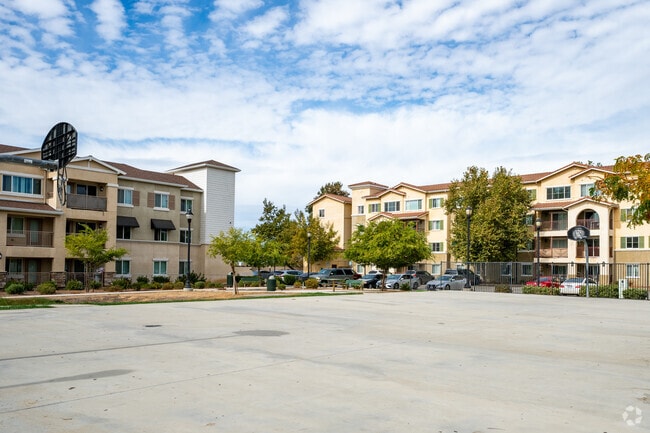 Basketball Court