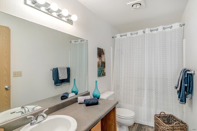 Alder Creek Apartments