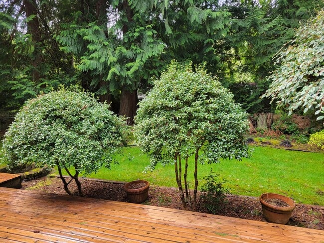 Photo - 3 Bedroom, 2.5 Bath Home For Rent in Kala ...